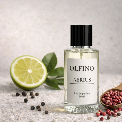 Parfum bărbati – aromatic lemnos – Olfino Aerius